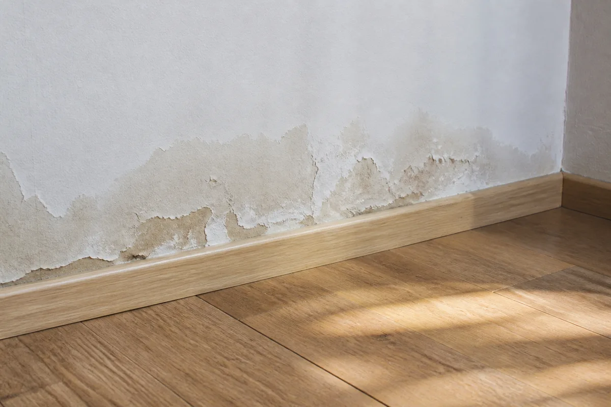Mur intérieur clair avec une trace d’humidité près de la plinthe