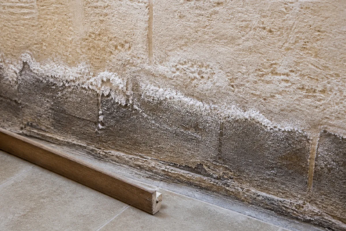 Bas de mur en pierre calcaire portant une frange sombre et un dépôt blanchâtre